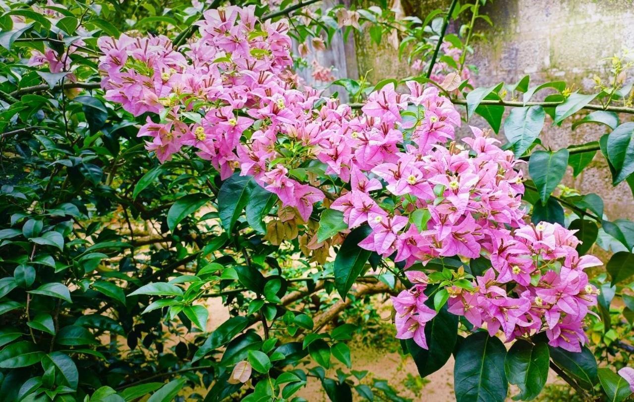 Charley Homestay Alappuzha Bagian luar foto